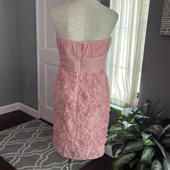 JS Boutique Pink Strapless Pleat and Textured Dress - Picture 5 of 8
